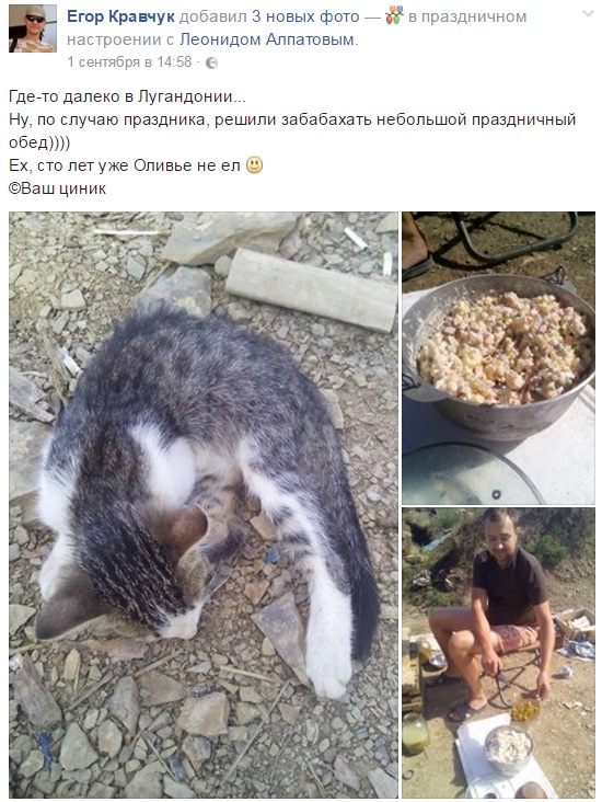 Атошна їжа: який зв'язок між кішкою та салатом олів'є - фото 1 Атошна їжа: який зв'язок між кішкою та салатом олів'є - фото 1