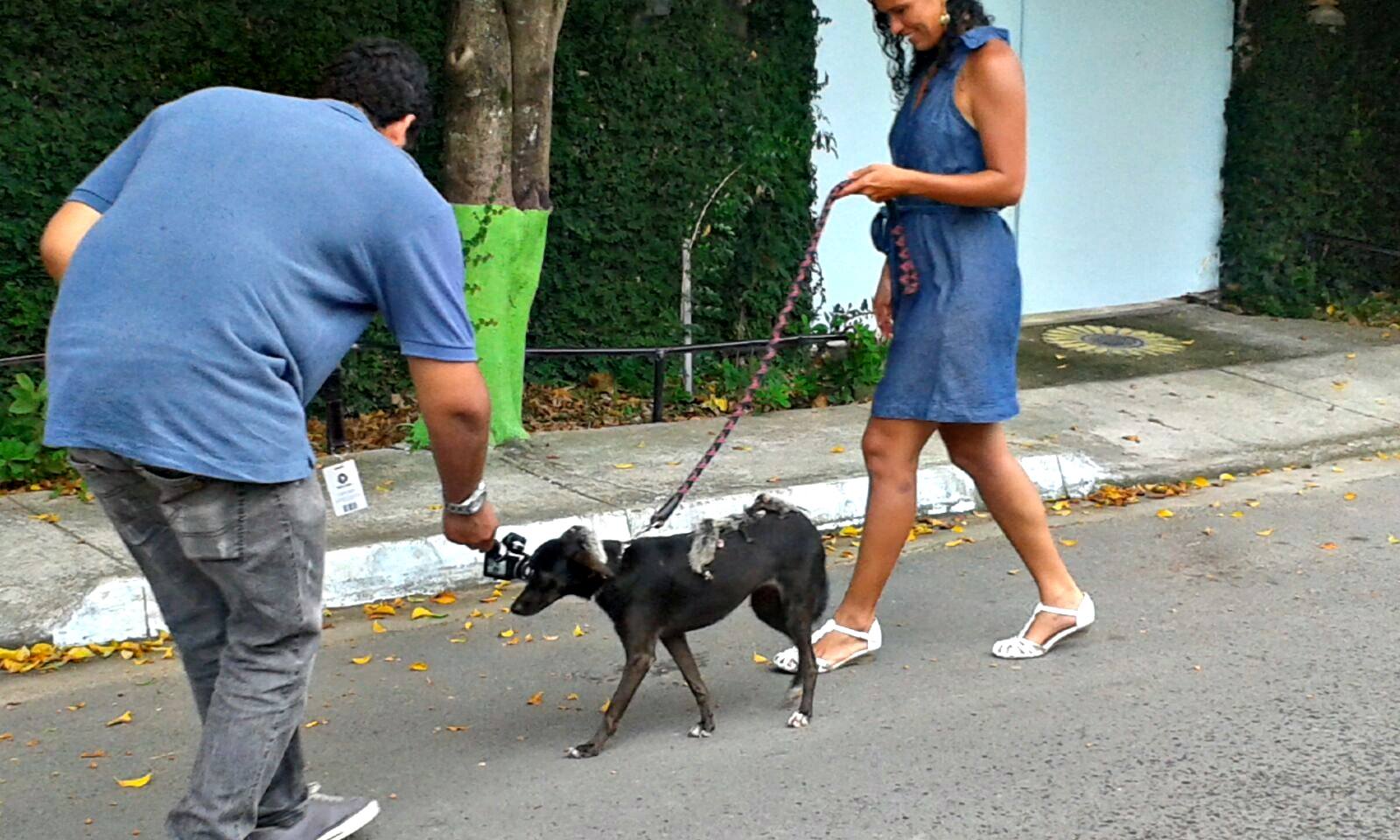 У Бразилії собака "усиновила" осиротілих малюків опосумів (ФОТО) - фото 13