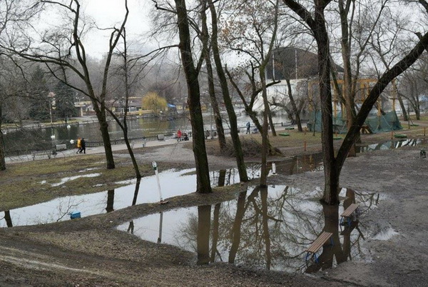 У центральному парку Дніпропетровська качки плавають по тротуарах - фото 2