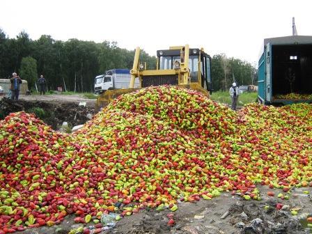  У Росії знищили 13 тонн болгарського перцю - фото 2