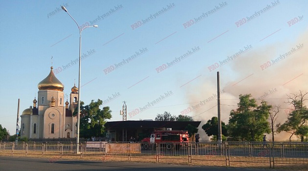 У Бердянську біля старого кладовища виникла масштабна пожежа - фото 1