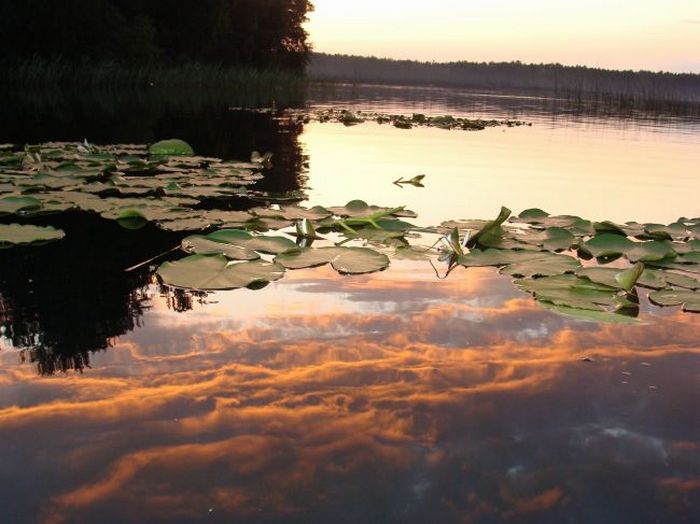 Топ-8 неймовірно казкових Шацьких озер - фото 5