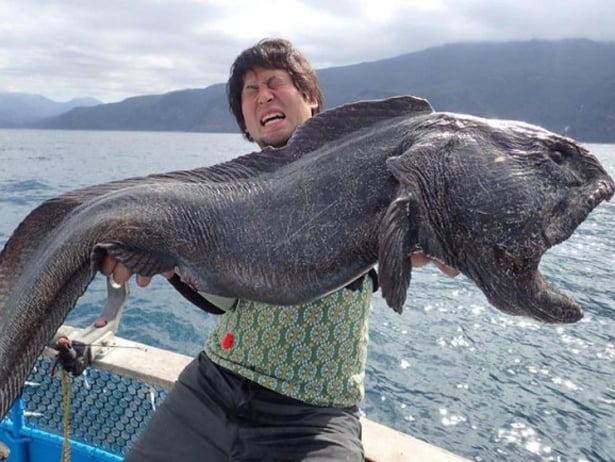 Японський рибалка впіймав двометрову рибу-мутанта з потворною пащею  - фото 1