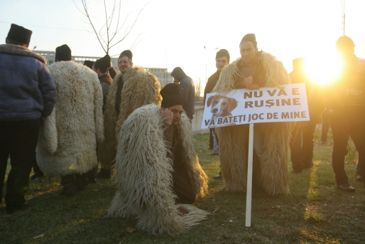 У Румунії пастухи захопили парламент (ФОТО, ВІДЕО) - фото 3