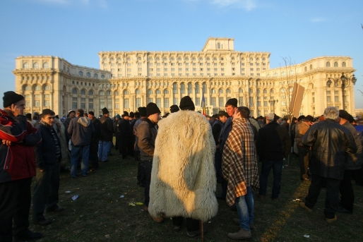 У Румунії пастухи захопили парламент (ФОТО, ВІДЕО) - фото 4