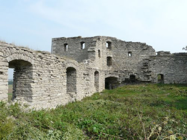 Замки-фортеці Хмельниччини, які неможливо оминути - фото 4