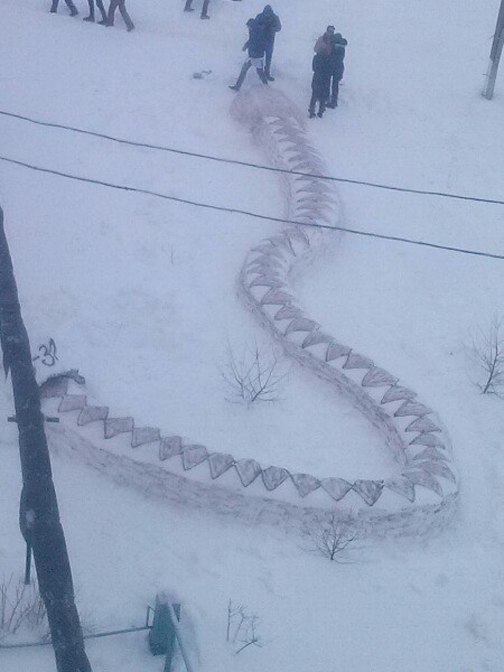 В Олександрії з снігу зліпили звірів та герб України  - фото 1