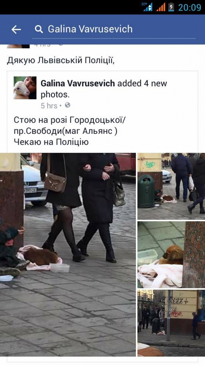Львівські поліцейські затримали жінку з одноокою собачкою - фото 1