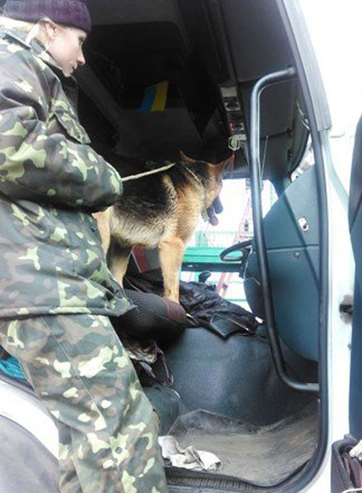 У Запорізькій колонії службові собаки обшукували автомобілі  - фото 2