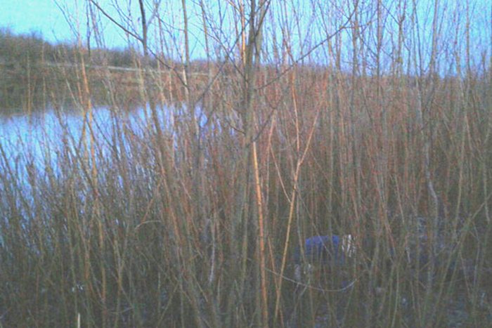 У Рівному на березі річки знайшли тіло жінки-інваліда - фото 1