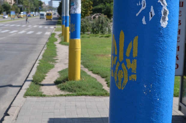 Жовто-блакитних вікон у Запоріжжі виявилося небагато - фото 4