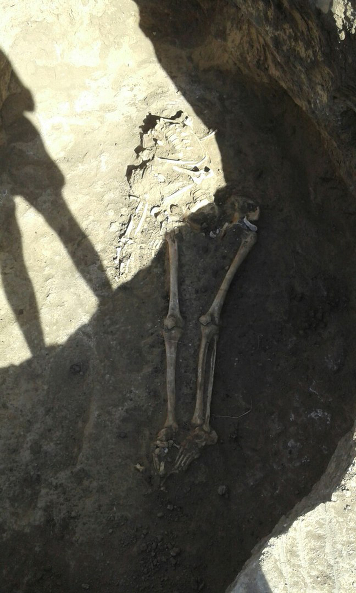 Під Мелітополем знайшли древні людські останки - фото 2
