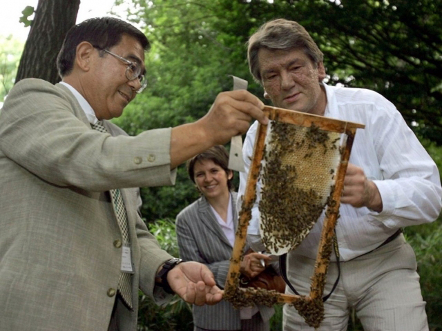 Медом помазано: Кому гудуть українські бджоли - фото 9