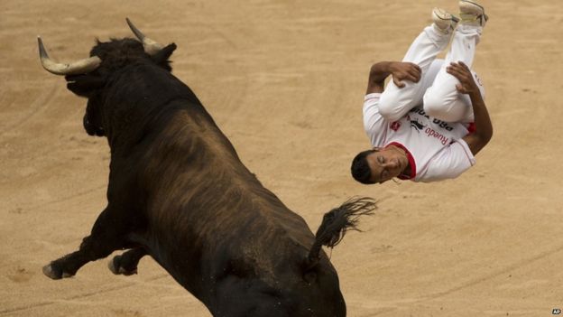В Іспанії внаслідок традиційних забігів з биками загинуло сім осіб - фото 1