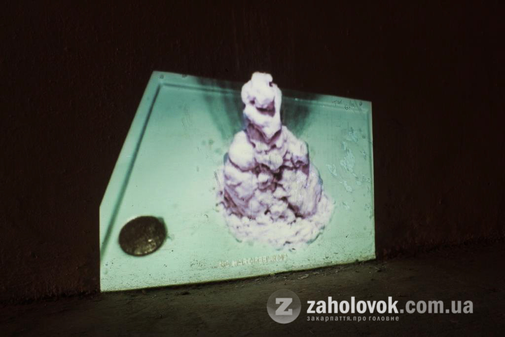 В Ужгороді презентували гібридну виставку "Жарт" - фото 1