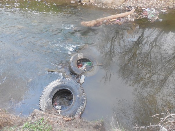 Луганчани показали жахливе забруднення річки Вільхівки - фото 4