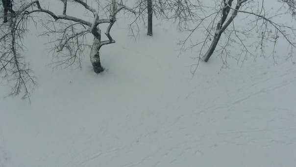 Харків п’яту годину засипає снігом: пересуватися містом все важче  - фото 1