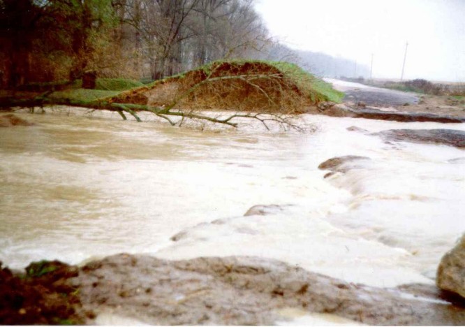 Яким був найкатастрофічніший паводок на Закарпатті - фото 3