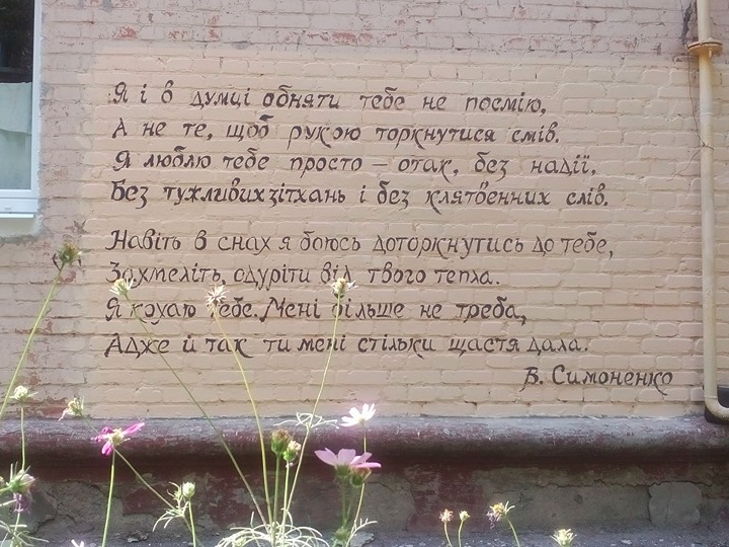 У Кропивницькому активісти розписують стіни будинків віршами - фото 1