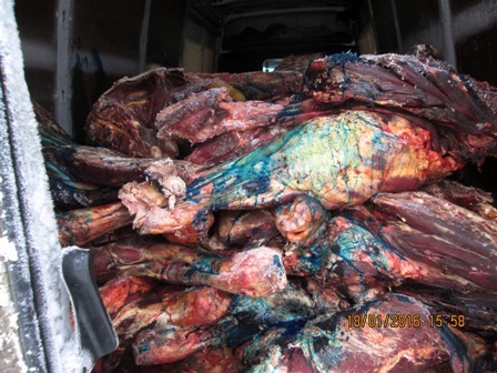 Росіяни завернули на кордоні та облили зеленкою 5 тонн білоруського м'яса - фото 1