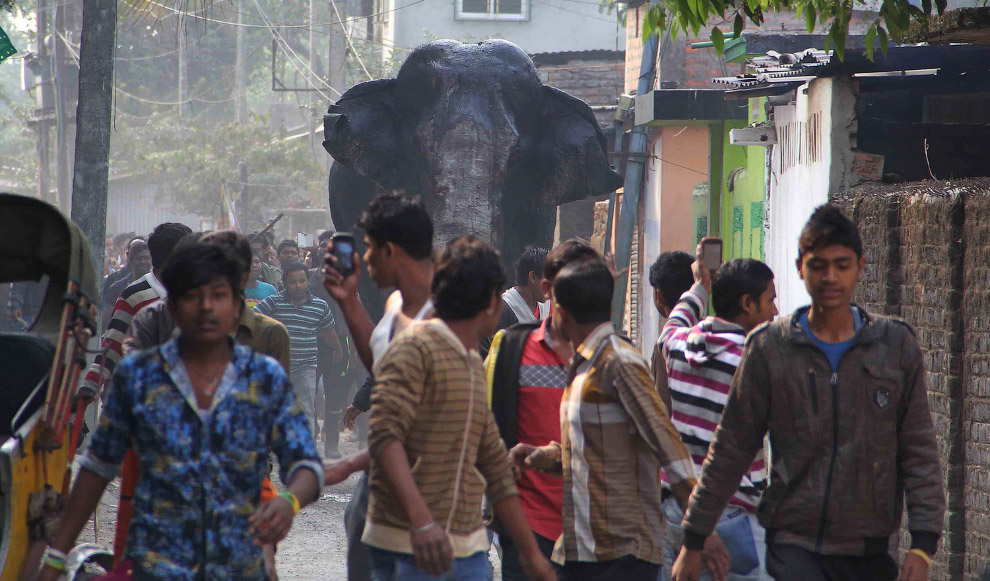 Багатотонний скажений слон влаштував хаос у місті - фото 5