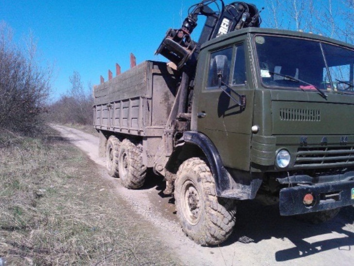 На Закарпатті затримали вантажівку з незаконним лісом на 73 тис. грн  - фото 1