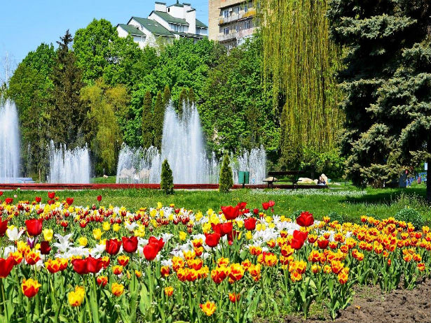 Нам 360: Місто Суми святкує День народження - фото 14