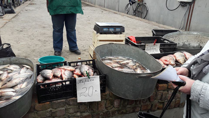 У Конотопі торгують "дохлою" рибою - фото 1