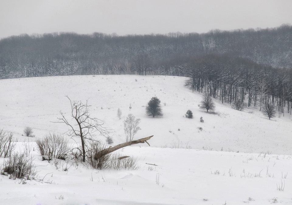 Сніг вкрив Сумщину від морозів пухнастою іскристою ковдрою - фото 7