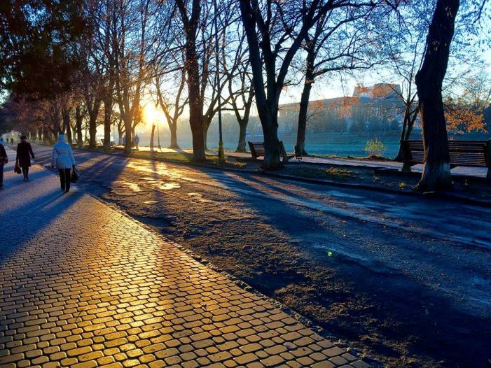 Сонячні фото: Як не по-зимовому виглядає передноворічний Ужгород - фото 3