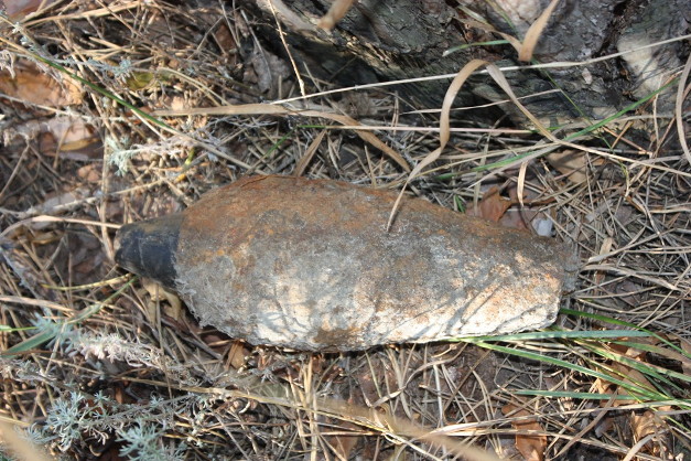 На Лісопарковій у Кіровограді знайшли міну - фото 1