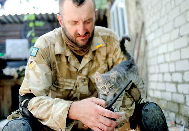 Душевні фото. Коти-укропи на війні (ФОТО) - фото 8