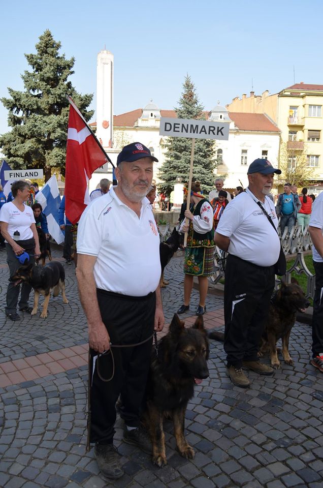 У Мукачево на змагання привезли собак з 21 країни - фото 2