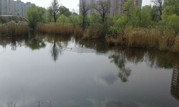 Кличко залишив киян сам на сам із "тітушками" біля озера Качине - фото 4