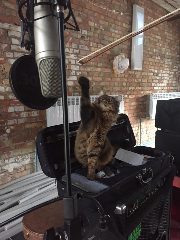 Руслана показала, як її кіт хазяйнує в студії - фото 3