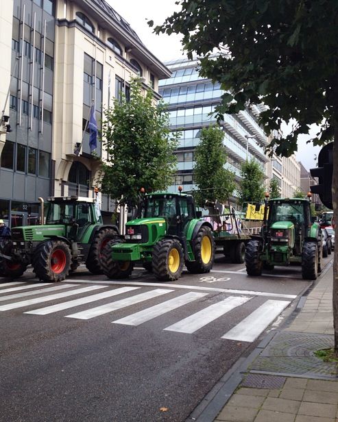 Тисячі розгніваних фермерів на тракторах протестують у Брюсселі - фото 2