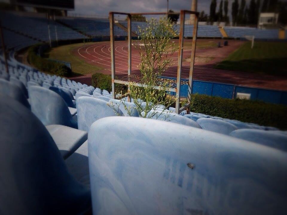 На трибунах стадіону "Таврії" у Сімферополі ростуть дерева (ФОТО) - фото 1