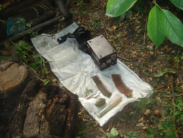 Зброю та гранати виявили правоохоронці у кам'янчанина - фото 2