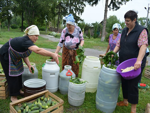 Волонтери використовують сезон і квасять огірки для бійців - фото 3