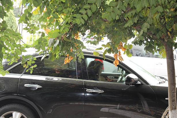 Як "чесні" прокурори Одещини добирались на тестування на дорогих автівках - фото 27