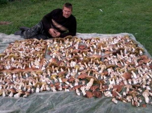 Минулорічні грибні рекорди в Карпатах - фото 2