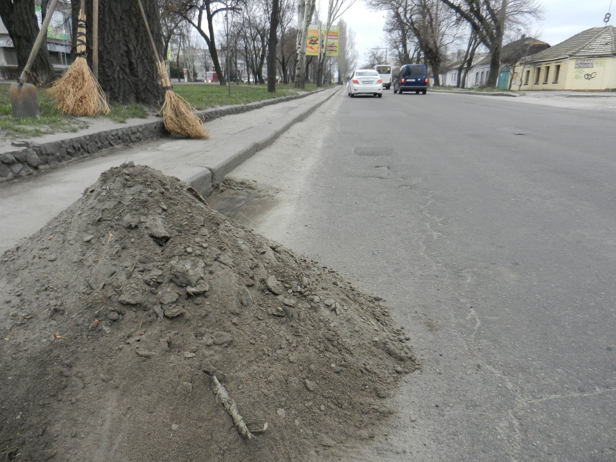 У Миколаєві "опоблоківці" змусили комунальників прибирати дороги вручну - фото 2