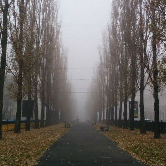 Як виглядає осінній Київ в тумані  - фото 5