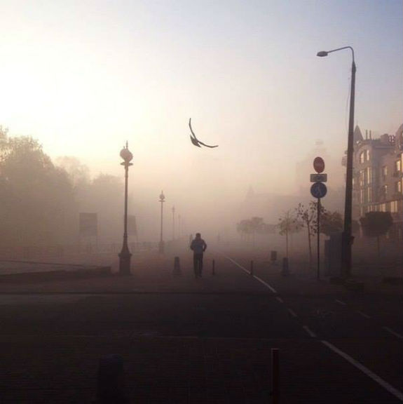 Як виглядає осінній Київ в тумані  - фото 2