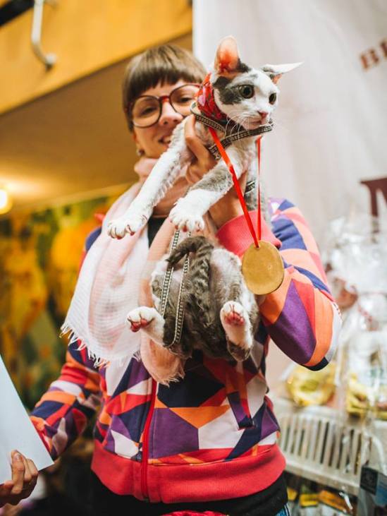 Як в Ужгороді "Корова" на котячому конкурсі краси перемогла - фото 5
