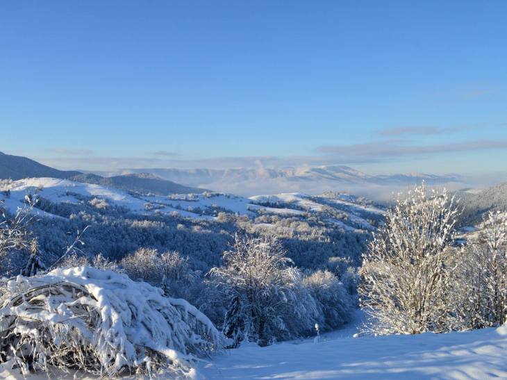 Після страшної повені у Карпати прийшла казкова зима - фото 1