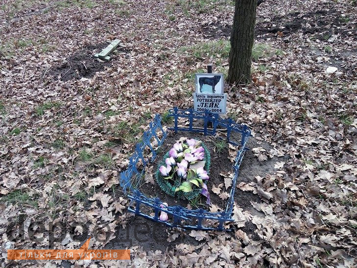 В Одесі з'явилося кладовище для домашніх тварин - фото 10