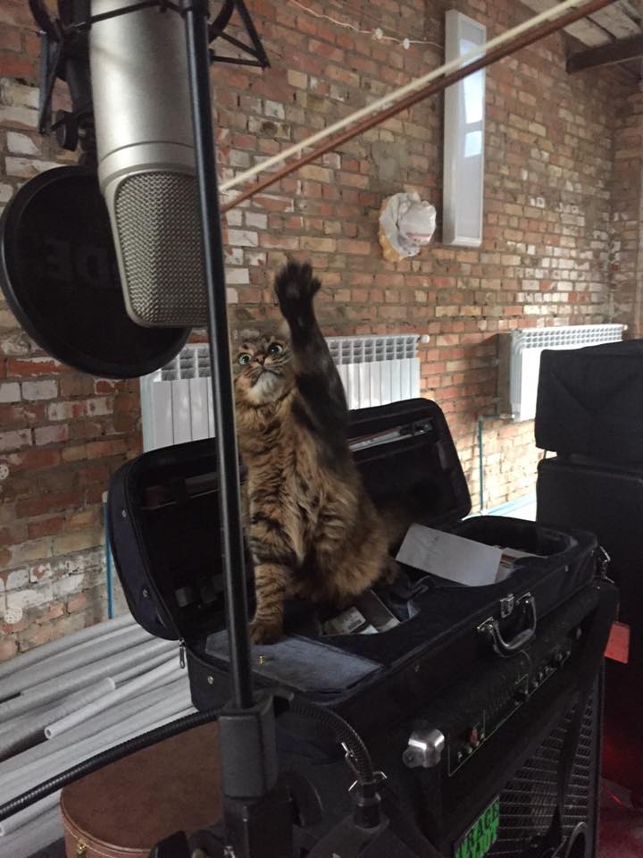 Руслана показала, як її кіт хазяйнує в студії - фото 1