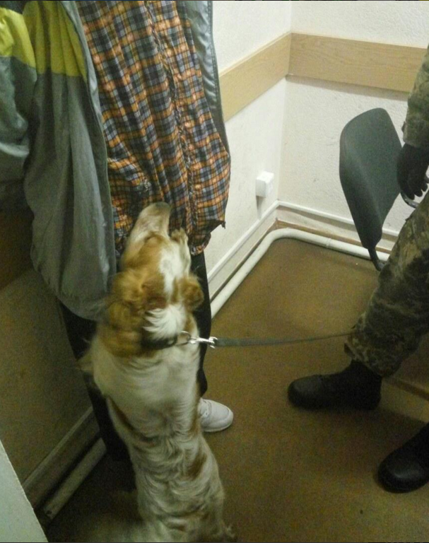 На “Гоптівці” пес-прикордонник винюхав у росіянина наркотики - фото 2