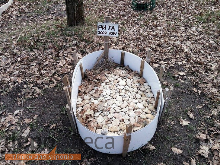 В Одесі з'явилося кладовище для домашніх тварин - фото 9
